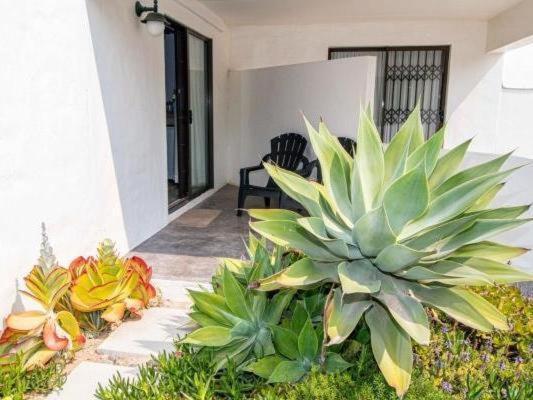 Paternoster Roosmarijn Rooms - Inverter Ngoại thất bức ảnh